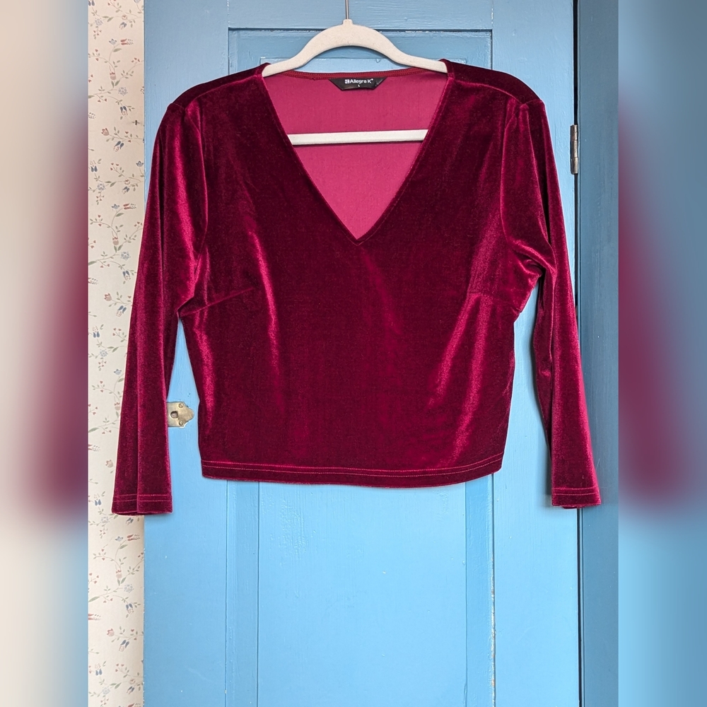 Velour Top L V-Neck Long Sleeve Crop Burgundy Whimsigoth